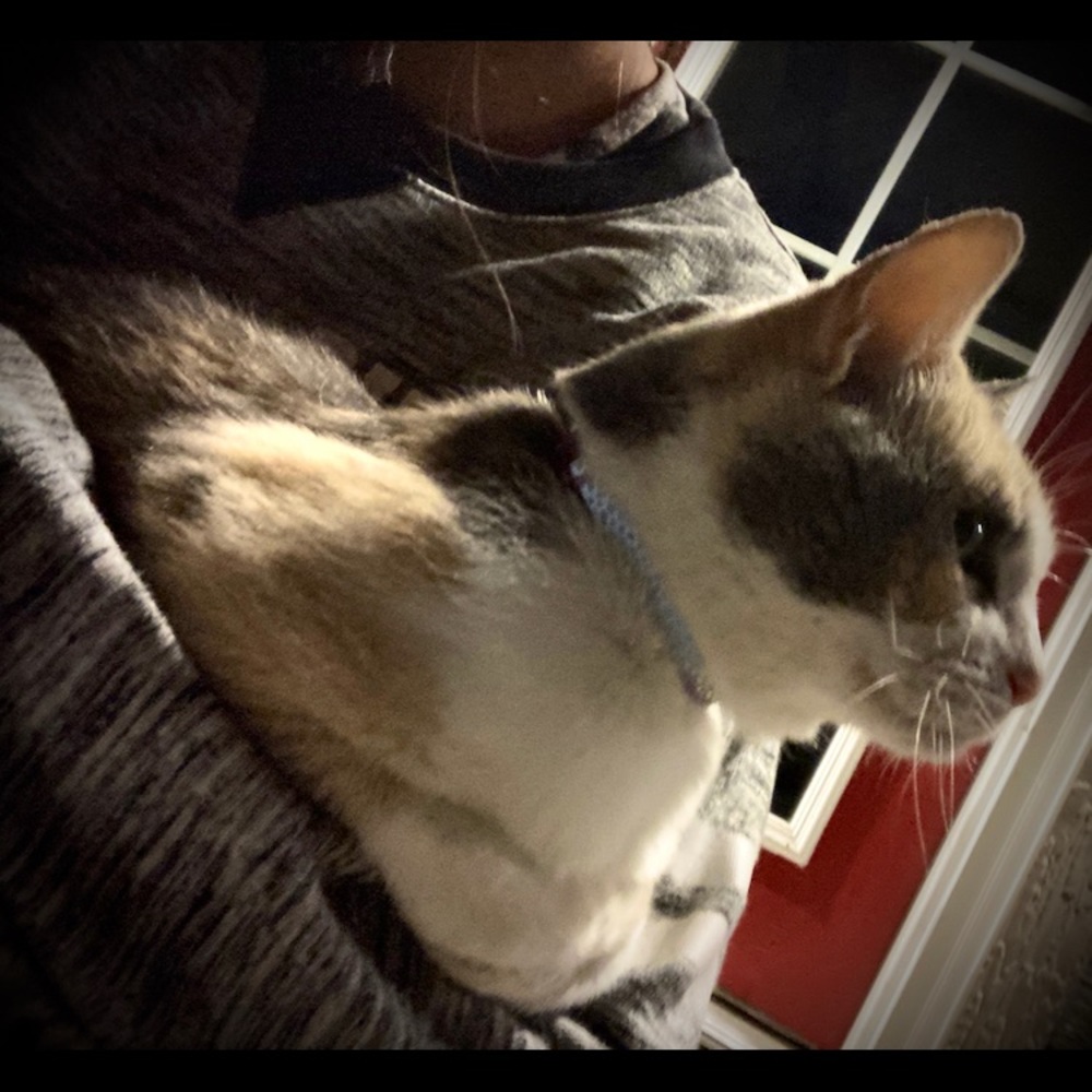 Meet your Posher, Linda